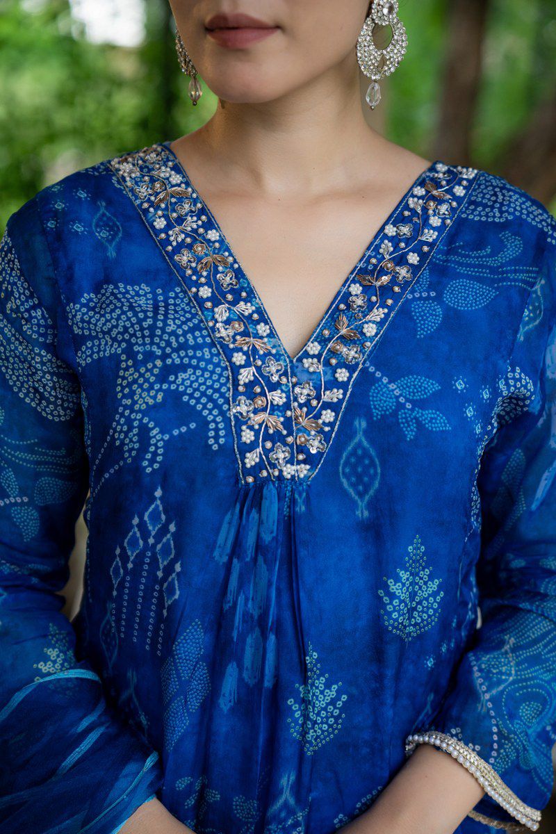 Blue Floral Suit Set in Shimmer Organza with Embroidered V-Neck & Full Sleeves
