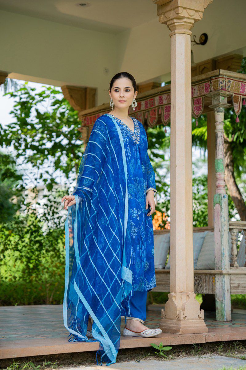 Blue Floral Suit Set in Shimmer Organza with Embroidered V-Neck & Full Sleeves