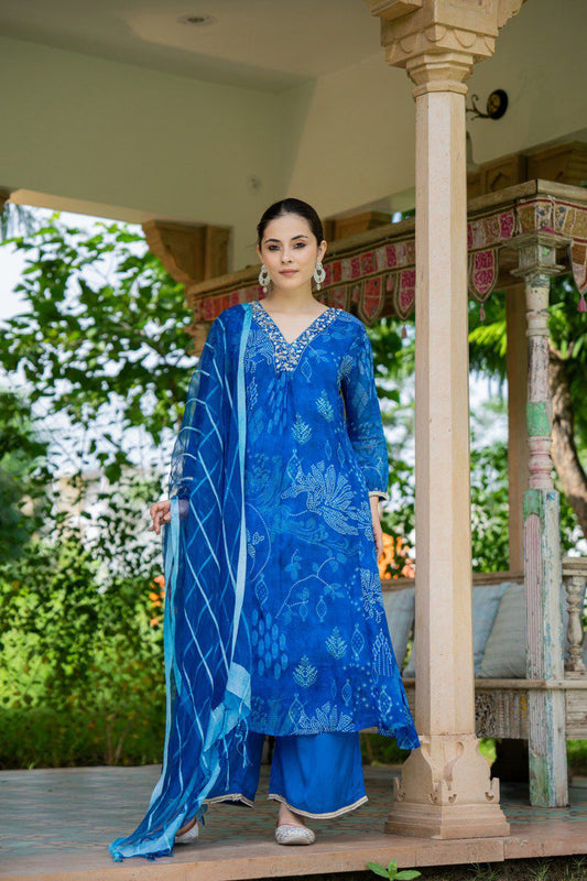 Blue Floral Suit Set in Shimmer Organza with Embroidered V-Neck & Full Sleeves